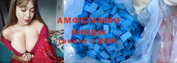 гашик Вяземский