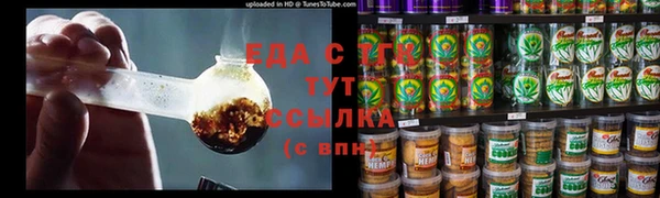 индика Вязьма