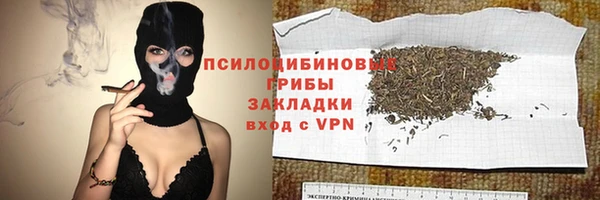 индика Вязьма