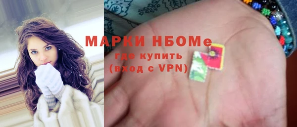 гашик Вяземский