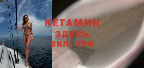 гашик Вяземский