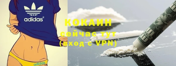 индика Вязьма