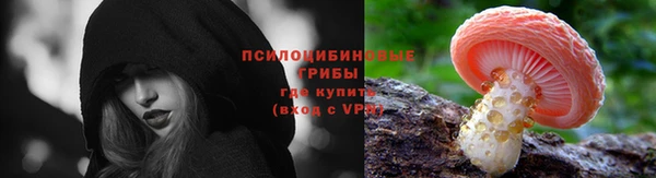 сатива Нижневартовск