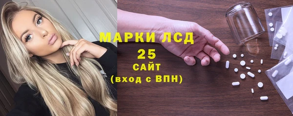 индика Вязьма