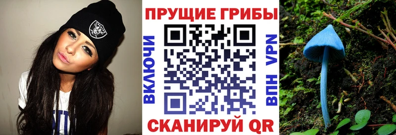 Галлюциногенные грибы Psilocybe МЕГА ссылка Задонск
